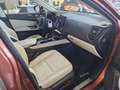 Lexus NX 350h EXECUTIVE Technologie+Interieur Paket Rot - thumbnail 12