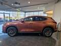 Lexus NX 350h EXECUTIVE Technologie+Interieur Paket Rot - thumbnail 2