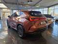 Lexus NX 350h EXECUTIVE Technologie+Interieur Paket Rot - thumbnail 3