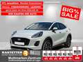 Ford Puma Hybrid Titanium 5Jahre+Winter+Navi+virtCP+Kamera+P Gris - thumbnail 1