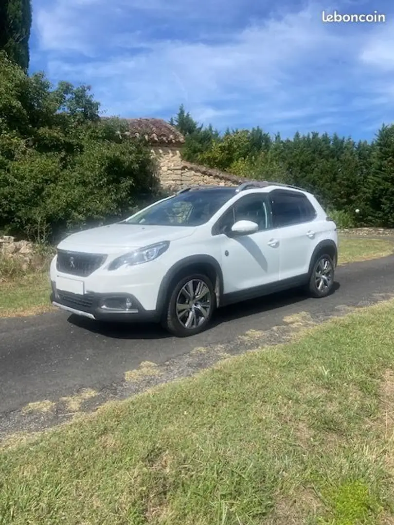 Peugeot 2008 1.5 bhdi 100 active business Blanc - 1