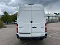 Mercedes-Benz Sprinter 313 CDI*Klima*Xarios 350*Motorschaden* Weiß - thumbnail 4