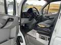 Mercedes-Benz Sprinter 313 CDI*Klima*Xarios 350*Motorschaden* Weiß - thumbnail 10