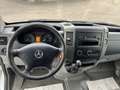 Mercedes-Benz Sprinter 313 CDI*Klima*Xarios 350*Motorschaden* Weiß - thumbnail 11