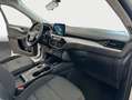 Ford Kuga 2.5 Duratec PHEV COOL&CONNECT Weiß - thumbnail 11
