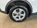Ford Kuga 2.5 Duratec PHEV COOL&CONNECT Weiß - thumbnail 17