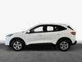 Ford Kuga 2.5 Duratec PHEV COOL&CONNECT Weiß - thumbnail 5