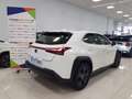 Lexus UX 250h Business City 2WD Blanco - thumbnail 4