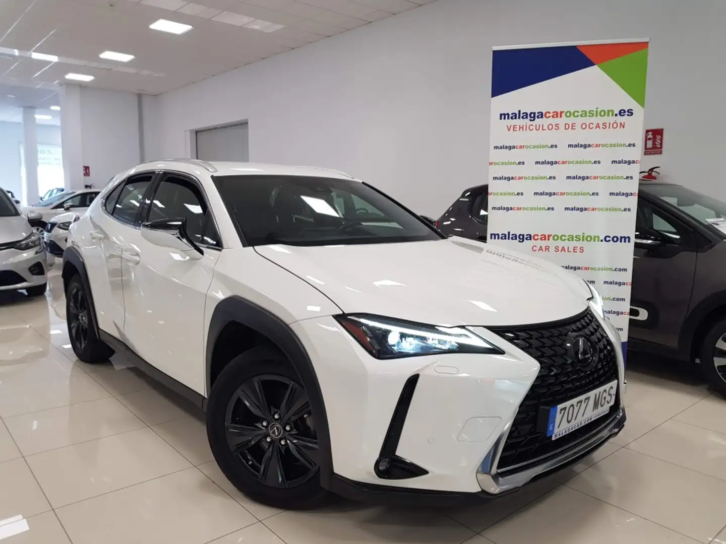 Lexus UX 250h Business City 2WD Blanco - 1