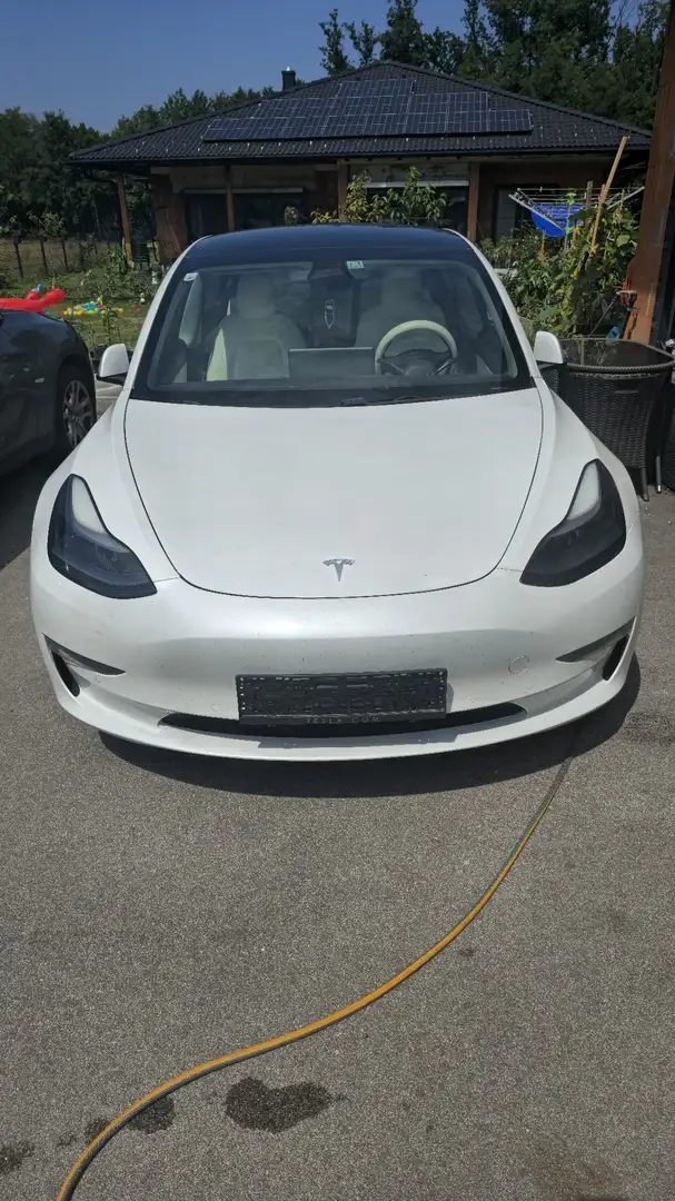 Tesla Model 3 Model 3 Long Range AWD 75kWh Weiß - 1