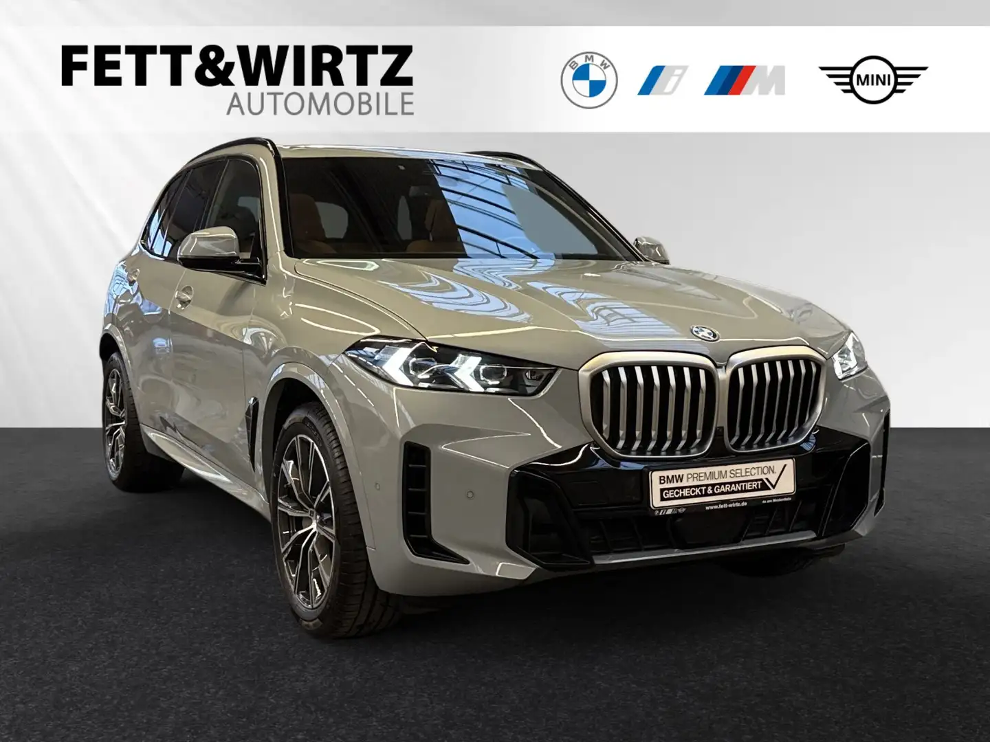 BMW X5 xDrive50e M Sport|AHK|PanoSkyLounge|Stop&Go Gris - 1
