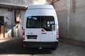 Nissan Interstar Interstar Kastenwagen L3H3 3,5t dCi 150 Weiß - thumbnail 6
