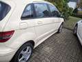 Mercedes-Benz B 170 B 170 NGT BlueEFFICIENCY Autotronic Beżowy - thumbnail 5