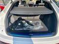 Audi Q5 40 2.0 tdi  12V S line quattro s-tronic / km 0 Blanc - thumbnail 19