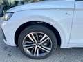 Audi Q5 40 2.0 tdi  12V S line quattro s-tronic / km 0 Blanc - thumbnail 12