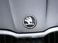 Skoda Fabia 1.0 TSI Selection DSG 85kW Gris - thumbnail 24