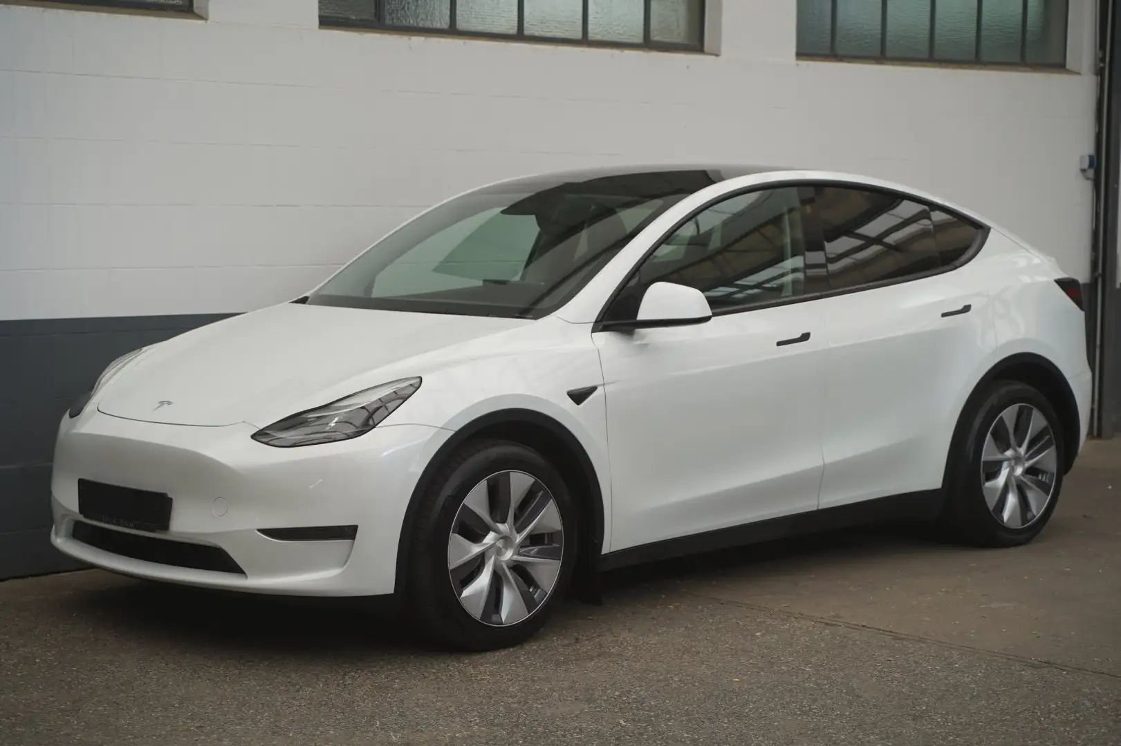Tesla Model Y Long Range AWD *Matrix-LED* Білий - 1