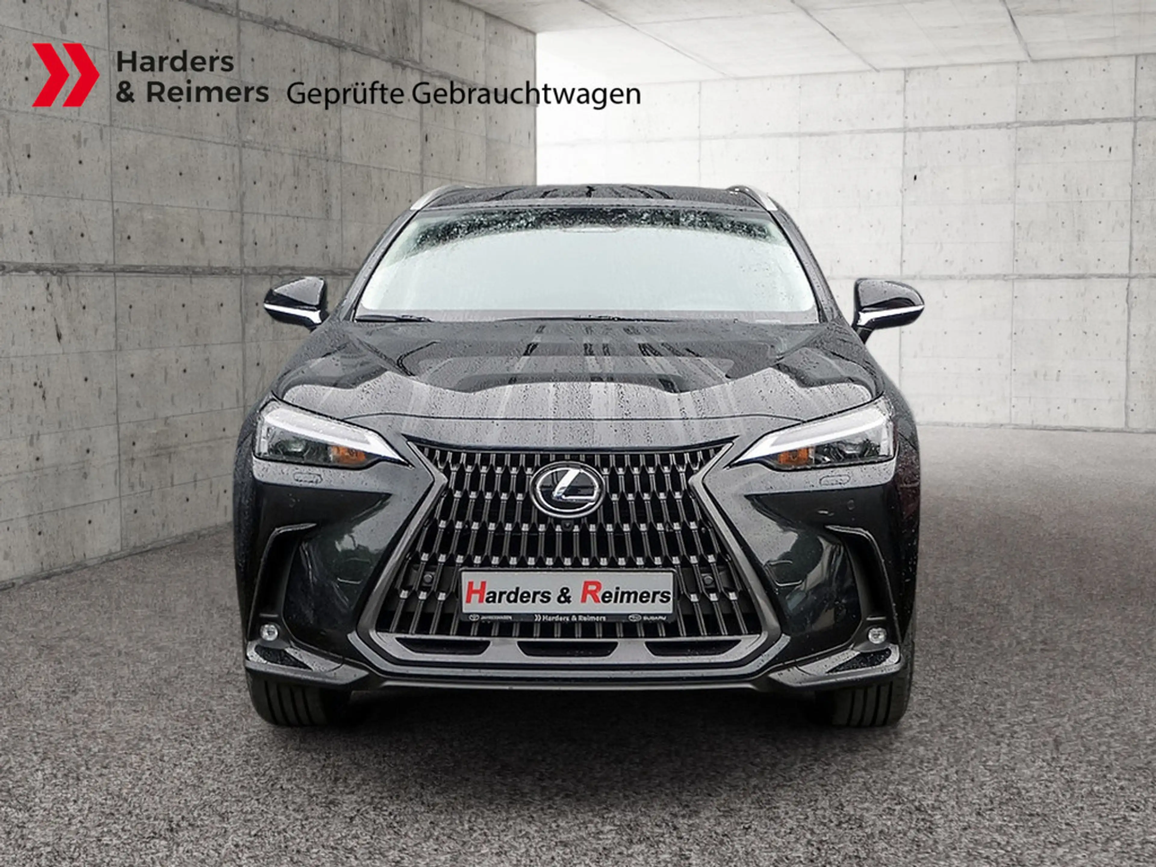Lexus NX 450h+ E-Four Executive Line HUD LED 360° — photo 3