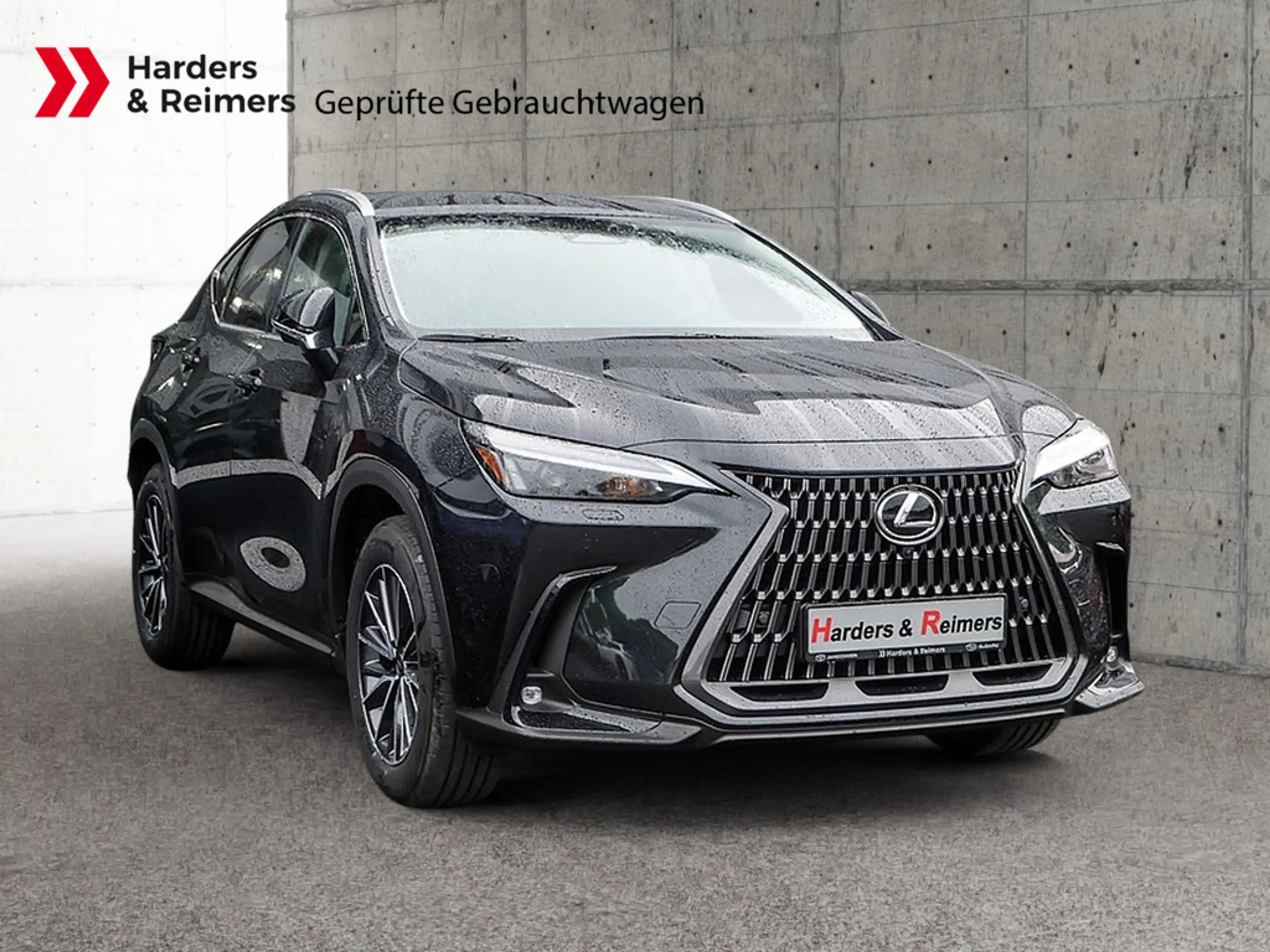 Lexus NX 450h+ E-Four Executive Line HUD LED 360° — photo 4