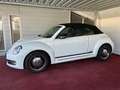 Volkswagen Beetle Club/Navigation/Klima/elektr. Verdeck/GARANTIE Weiß - thumbnail 22