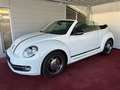 Volkswagen Beetle Club/Navigation/Klima/elektr. Verdeck/GARANTIE Weiß - thumbnail 20