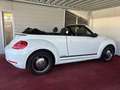 Volkswagen Beetle Club/Navigation/Klima/elektr. Verdeck/GARANTIE Weiß - thumbnail 14