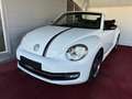 Volkswagen Beetle Club/Navigation/Klima/elektr. Verdeck/GARANTIE Weiß - thumbnail 16