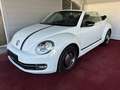 Volkswagen Beetle Club/Navigation/Klima/elektr. Verdeck/GARANTIE Weiß - thumbnail 19