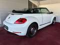 Volkswagen Beetle Club/Navigation/Klima/elektr. Verdeck/GARANTIE Weiß - thumbnail 6