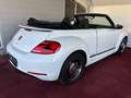 Volkswagen Beetle Club/Navigation/Klima/elektr. Verdeck/GARANTIE Weiß - thumbnail 13