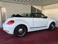 Volkswagen Beetle Club/Navigation/Klima/elektr. Verdeck/GARANTIE Weiß - thumbnail 1