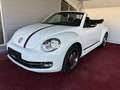 Volkswagen Beetle Club/Navigation/Klima/elektr. Verdeck/GARANTIE Weiß - thumbnail 17