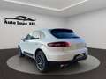 Porsche Macan 2014 3.0d S 250cv pdk my16 Bianco - thumbnail 2