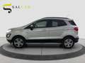 Ford EcoSport 1.0 ecoboost 125 CV Titanium Aut. 2019 Argento - thumbnail 3