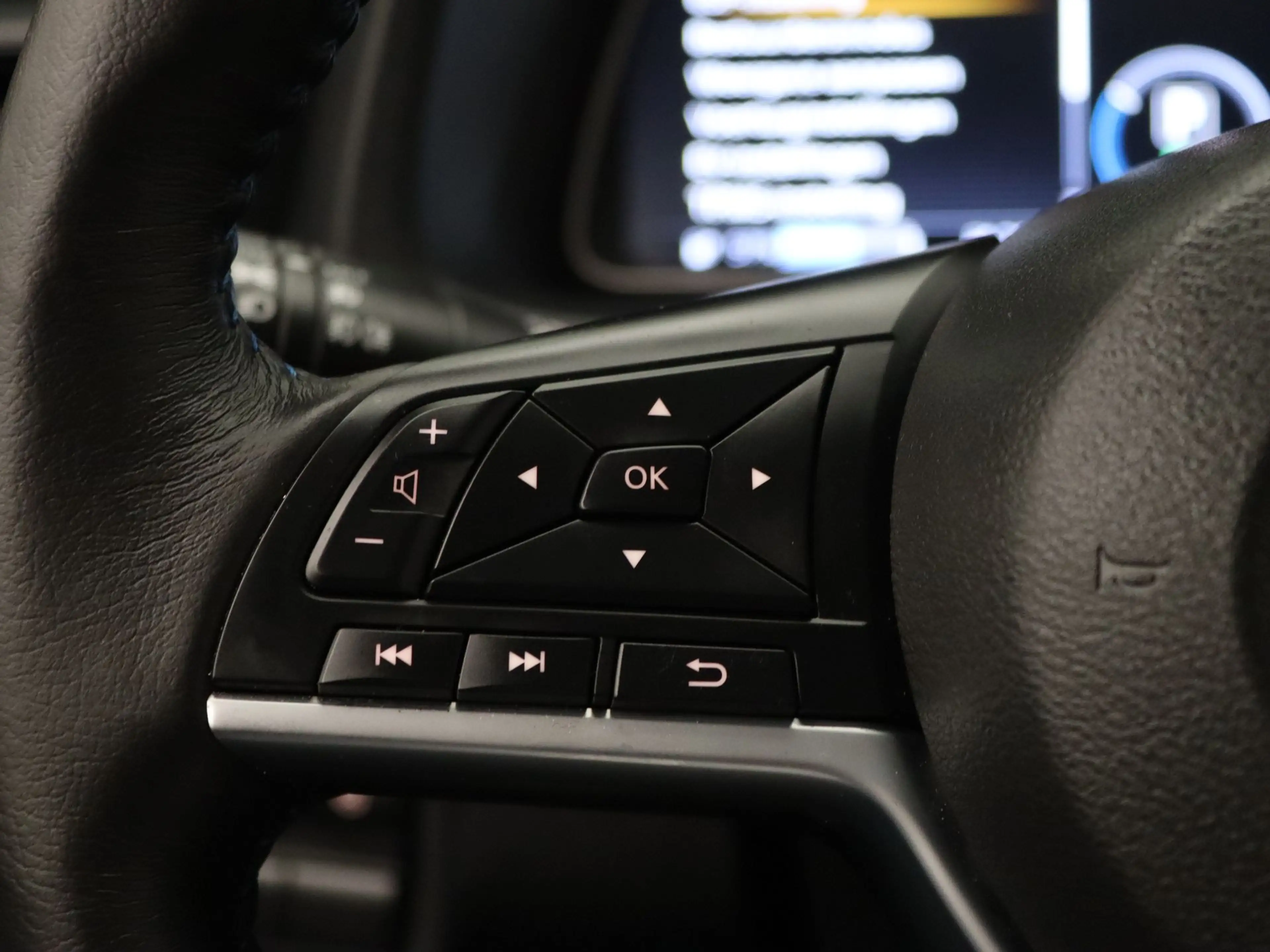 Nissan Leaf e+ Tekna 59 kWh Apple Carplay/Android Auto | Trekh — photo 14