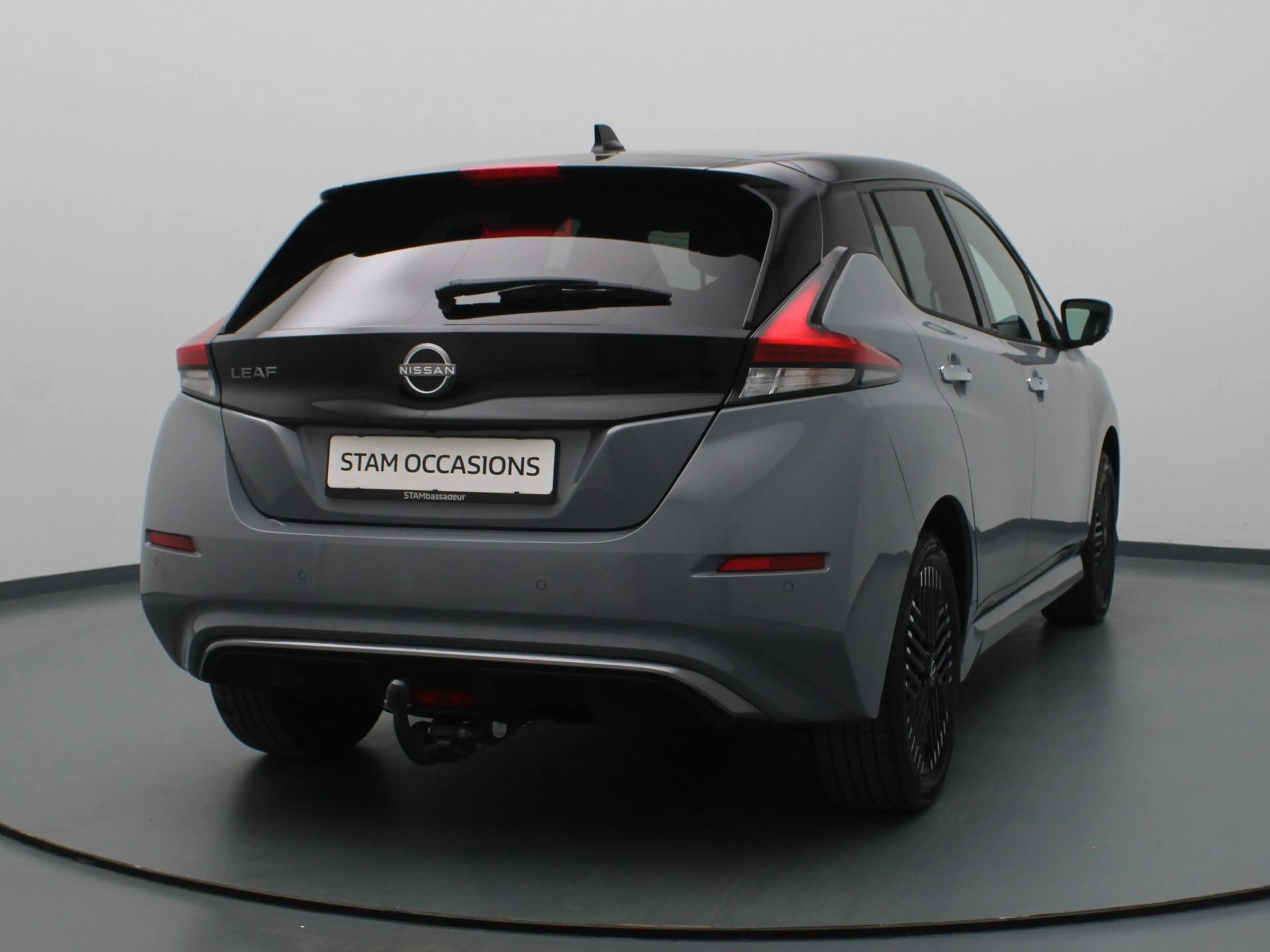 Nissan Leaf e+ Tekna 59 kWh Apple Carplay/Android Auto | Trekh — photo 20