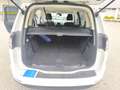Ford Galaxy Galaxy 2,0 EcoBlue SCR Titanium Aut. Titanium Blanc - thumbnail 14