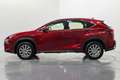 Lexus NX 300 300h Business 2WD Rouge - thumbnail 8