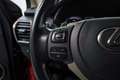 Lexus NX 300 300h Business 2WD Rouge - thumbnail 22