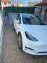 Tesla Model Y Model Y Single Motor Rwd + Autopilot Avanzato Bianco - thumbnail 4