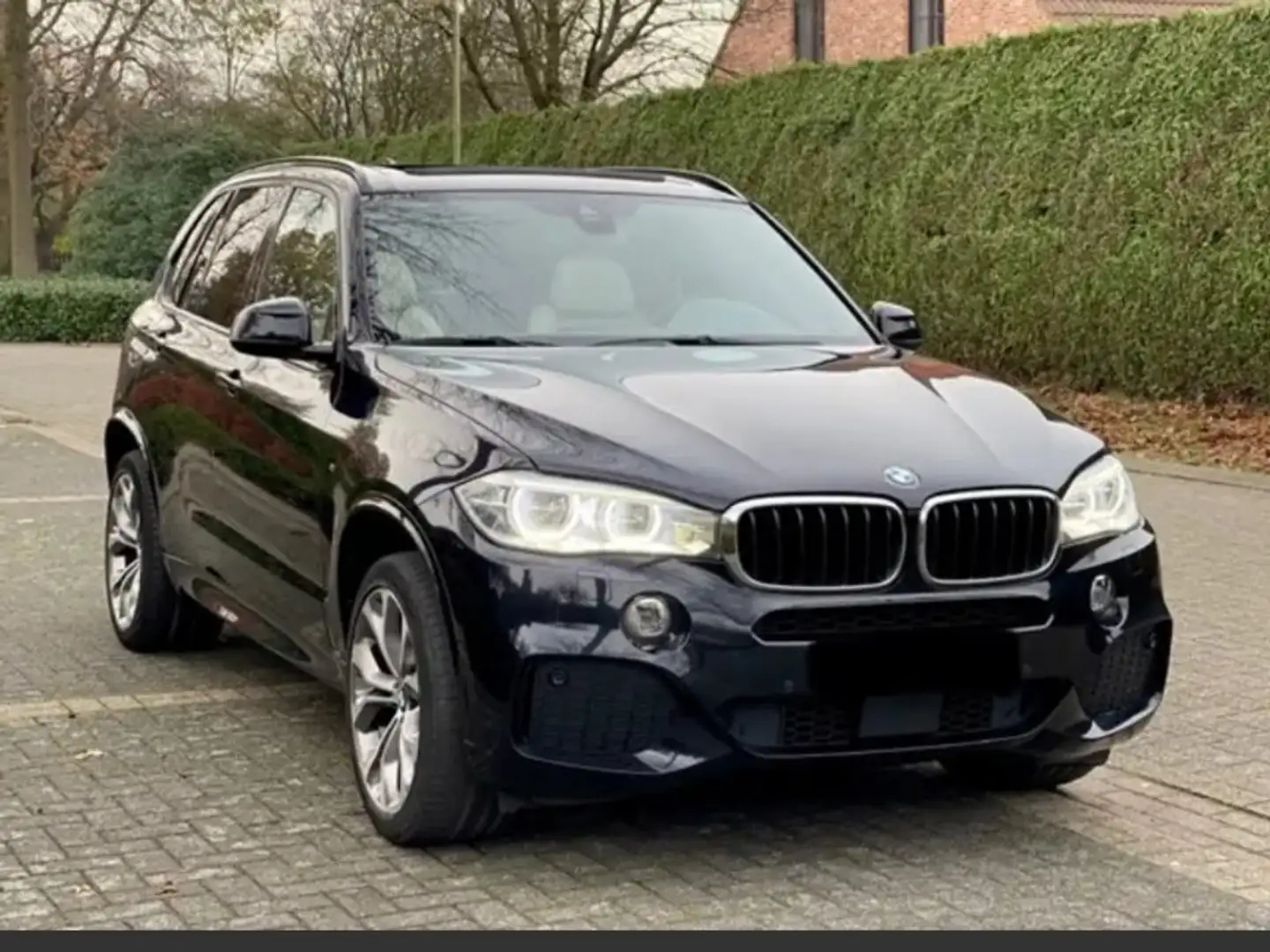 BMW X5 2.0 dAS xDrive25 - 1