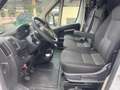 Fiat Ducato 160 L4H2 RS: 4035 mm,Klma Weiß - thumbnail 7