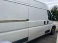 Fiat Ducato 160 L4H2 RS: 4035 mm,Klma Weiß - thumbnail 6