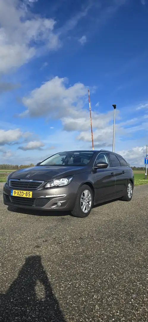 Peugeot 308 1.2 e-THP Blue L. Ex Zilver - 1