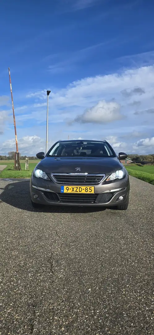 Peugeot 308 1.2 e-THP Blue L. Ex Zilver - 2