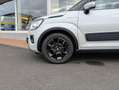 Suzuki Ignis 1.2 Hybrid Allgrip Comfort+ Webasto Standheizung ( Schwarz - thumbnail 23