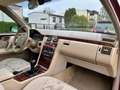 Mercedes-Benz E 200 T Elegance *Service + TÜV-AU NEU * SZH *LM Czerwony - thumbnail 8