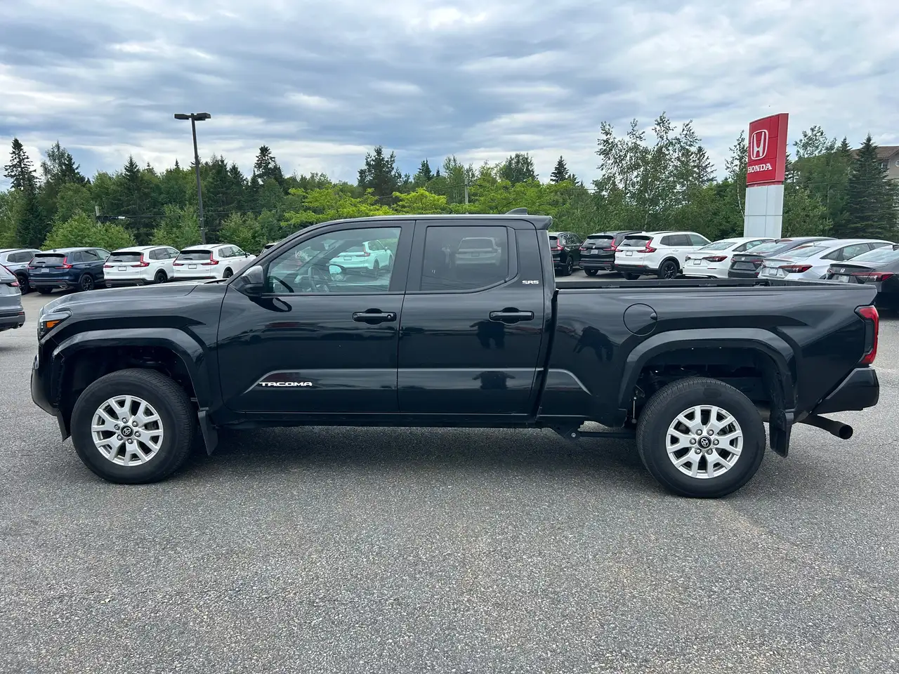 Toyota Tacoma photo Toyota Tacoma