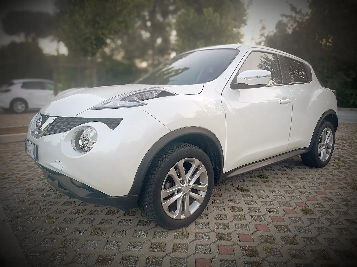 Nissan Juke 1.5 dci Business 110cv - 1