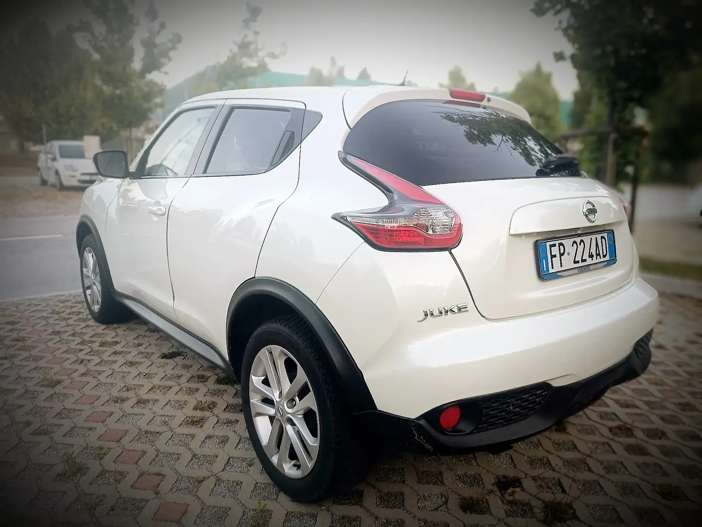 Nissan Juke 1.5 dci Business 110cv - 2